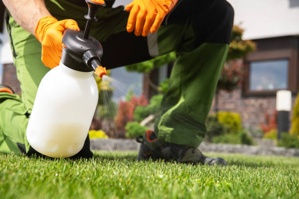 Flea Control Services in Brooks, KY