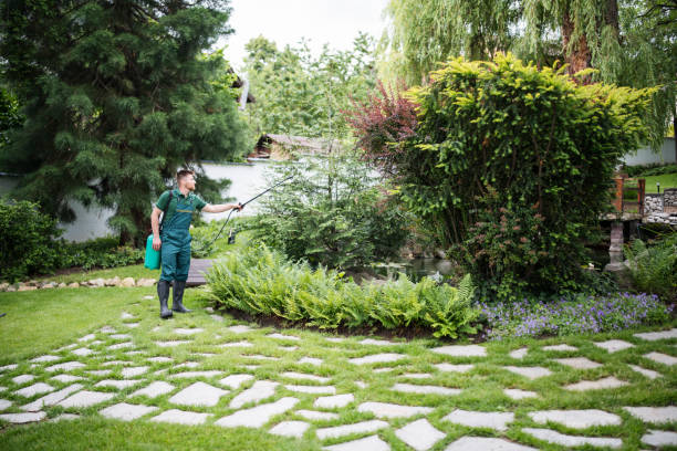 Best Local Pest Control Services  in Brooks, KY