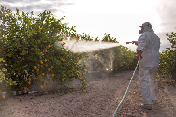 Best Mosquito Control Services  in Brooks, KY