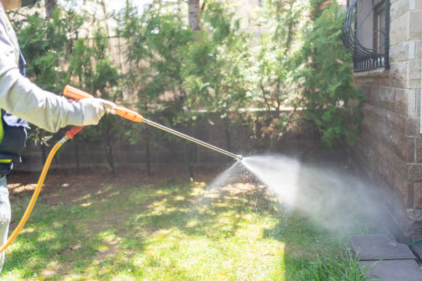 Best Pest Removal Services  in Brooks, KY