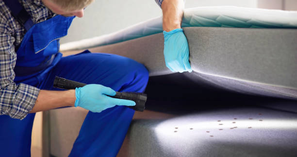 Best Pest Control Near Me  in Brooks, KY