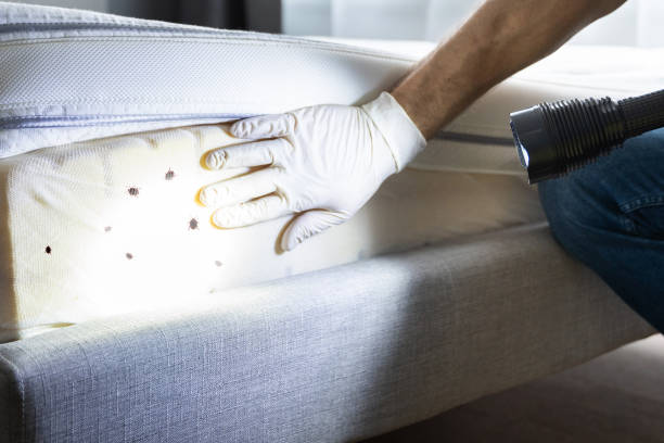 Best Pest Control Near Me in Brooks, KY